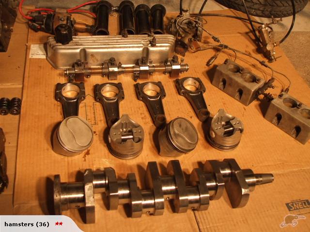 48605492_full.jpg