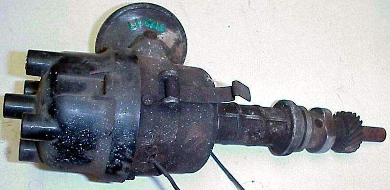 Dizzi-2ltr-Lucas-2.JPG