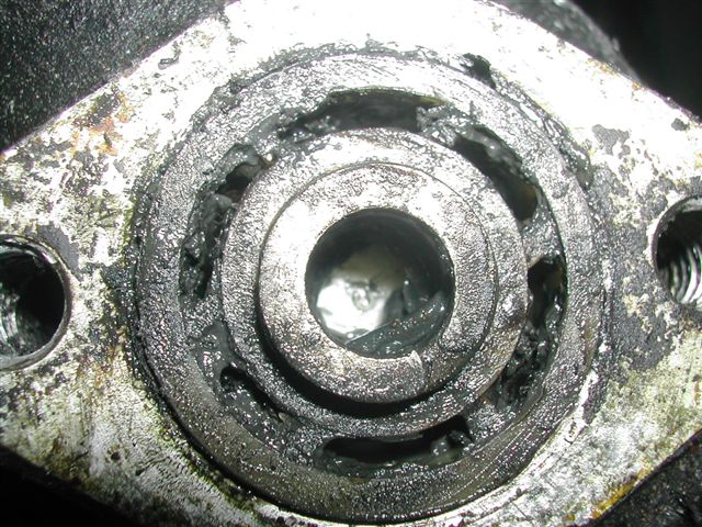 DSCN6769.JPG