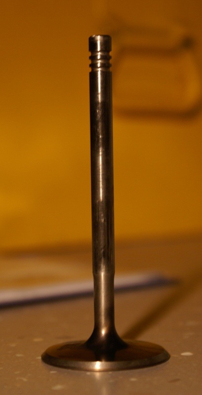 DSC07420.jpg