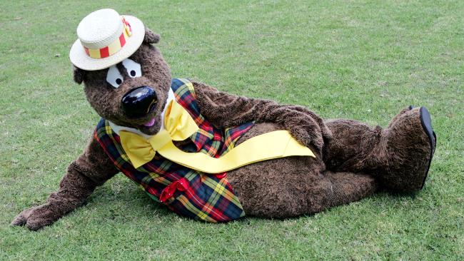 849977-humphrey-b-bear race suit.jpg