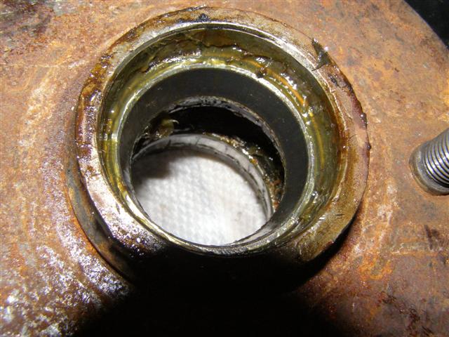 4122030 (Small).JPG