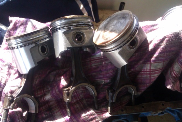 IMAG0017.jpg
