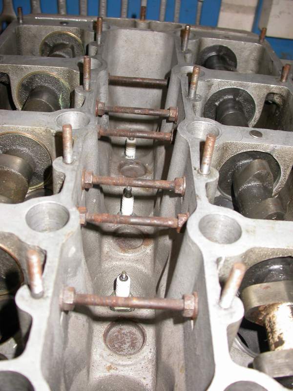 Holbay Head Bracing.JPG